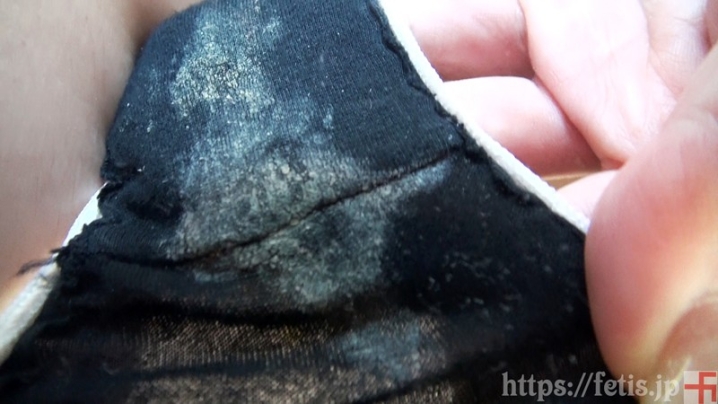 DOG-13/h_496dog00013のキービジュアル