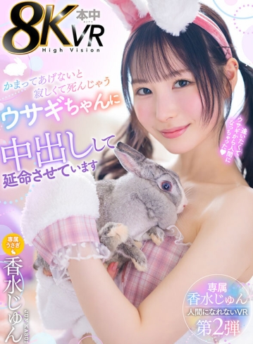 HNVR-162/hnvr00162のキービジュアル