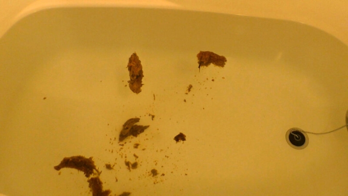 KBMS-130/kbms00130のティザービジュアル1