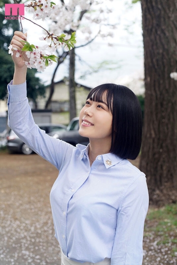 MIFD-529/mifd00529のキービジュアル