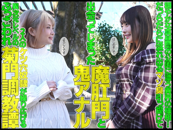 MVG-054/mvg00054のキービジュアル