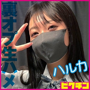 PCHN-2015/pchn2015のメインビジュアル