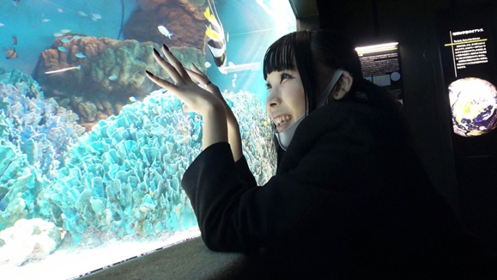 PETS-003/pets00003のティザービジュアル2