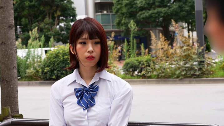 PETS-009/pets00009のキービジュアル