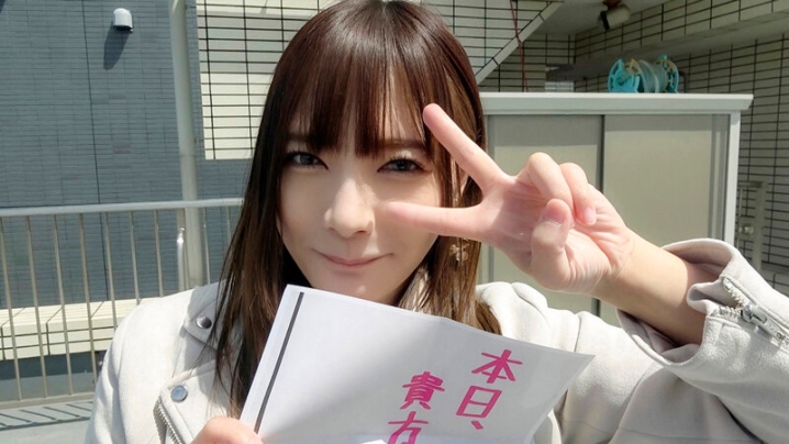 PKPD-262/pkpd00262のキービジュアル