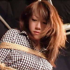 PWIFE-942/pwife942のメインビジュアル