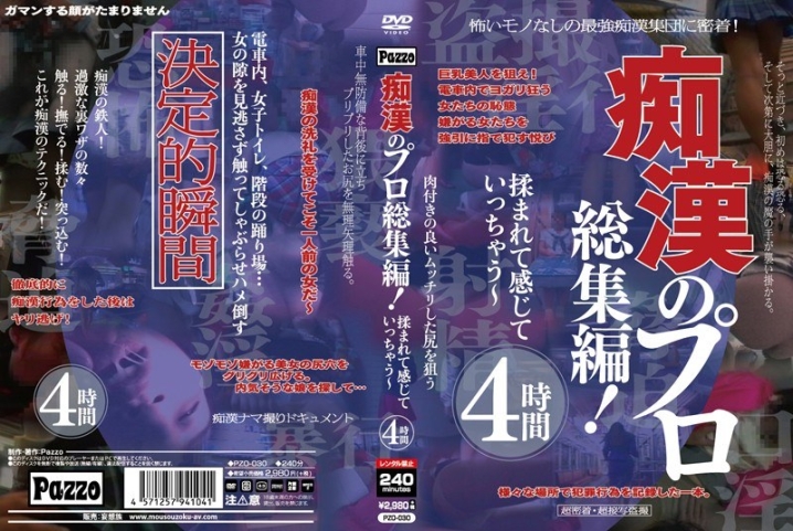 PZO-030/pzo00030のメインビジュアル
