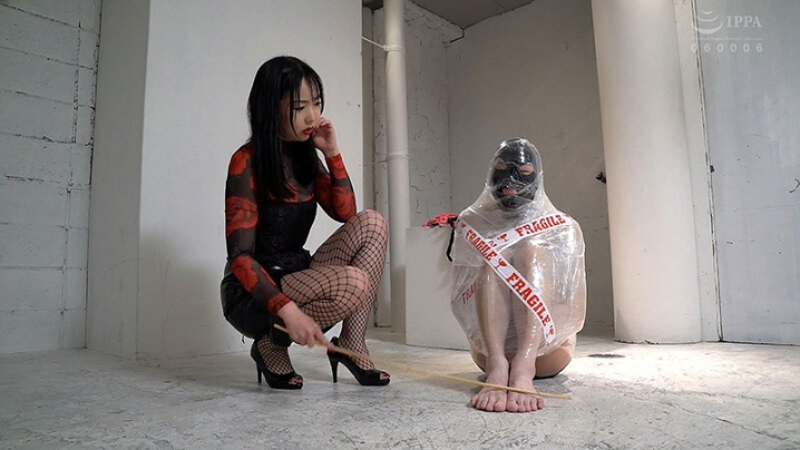 QRDA-211-B/qrda00211bのティザービジュアル1