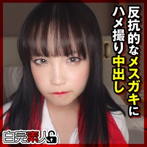 SIKA-384/sika384のメインビジュアル