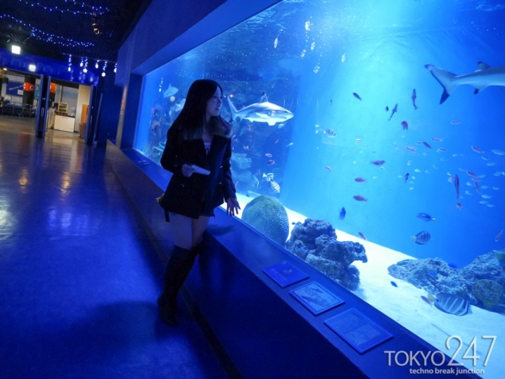 TOKYO-291/tokyo291のキービジュアル