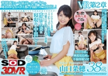 3DSVR-0362/13dsvr00362のメインビジュアル