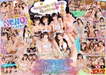 3DSVR-1525/13dsvr01525のメインビジュアル