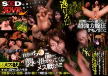 3DSVR-1672/13dsvr01672のメインビジュアル