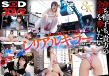 3DSVR-1889/13dsvr01889のメインビジュアル