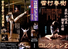 SB-002/178sb00002のメインビジュアル