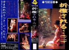 SSI-000/178ssi002のメインビジュアル