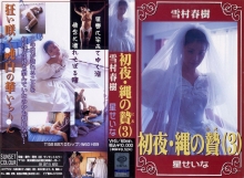 SW-003/178sw00003のメインビジュアル