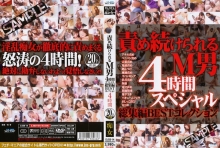 DJSB-014/29djsb00014のメインビジュアル