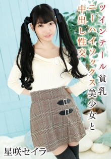 TX-529-B/55t28x00529bのメインビジュアル