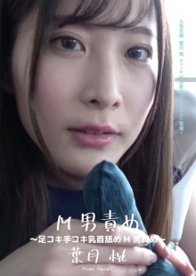 AD-529/h_1416ad00529のメインビジュアル