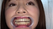 AD-786/h_1416ad00786のメインビジュアル