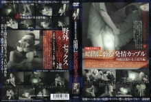 CAT-27/h_157cat027のメインビジュアル