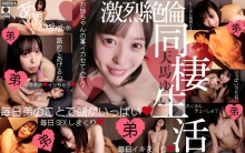 BDDA-09/h_1613bdda00009のメインビジュアル
