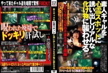 WAN-66/h_254wan00066のメインビジュアル