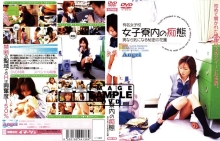 IMG-136/h_259img00136のメインビジュアル