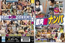 YLW-4336/h_606ylw04336のメインビジュアル