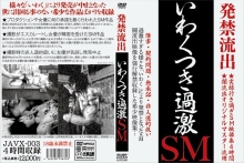 JAVX-003/javx00003のメインビジュアル