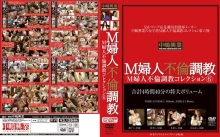 NHSD-013/nhsd00013のメインビジュアル