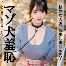 PAI-376/pai376のメインビジュアル