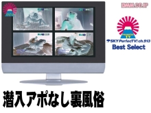 PARAT-098/parat00098のメインビジュアル