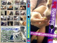 PARAT-884/parat00884のメインビジュアル