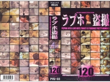 PVU-000/pvu003のメインビジュアル