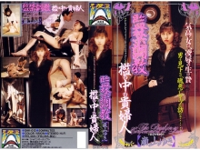 SHK-000/shk012のメインビジュアル