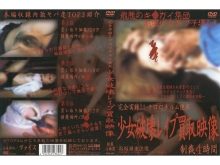 VCEL-000/vcel001のメインビジュアル