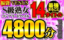 VENE-014/vene00014のメインビジュアル