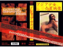 WZL-000/wzl001のメインビジュアル